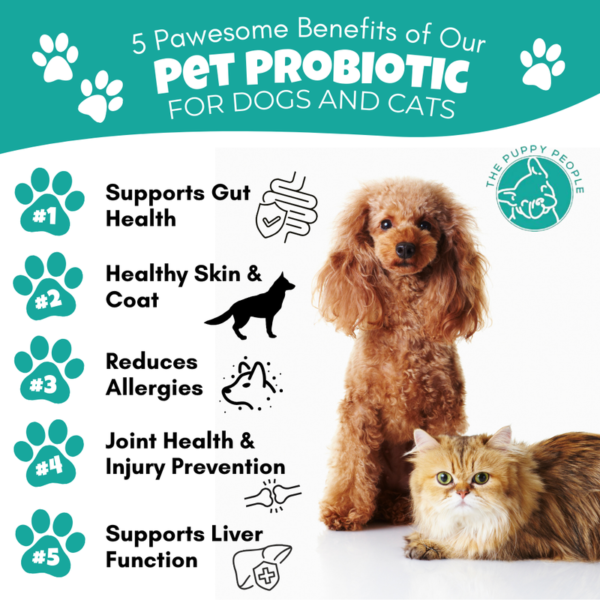 The Puppy People Probiotic - Image 2